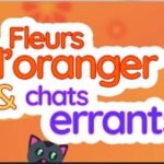 front page du site koukaki