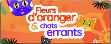 front page du site koukaki